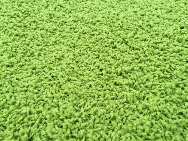 Kusový koberec color shaggy - zelené jablko - obdélník - 200 x 300 cm