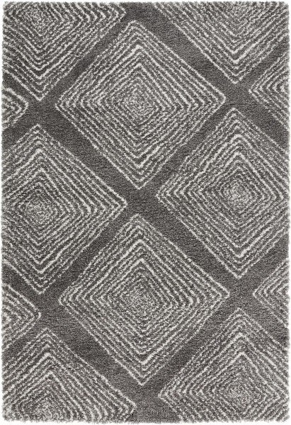 Kusový koberec Allure 102763 grau creme-200x290