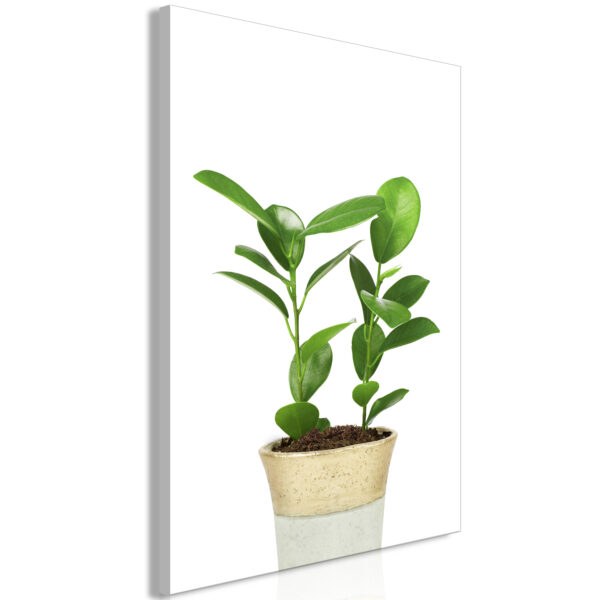 Obraz - Plant In Pot (1 Part) Vertical