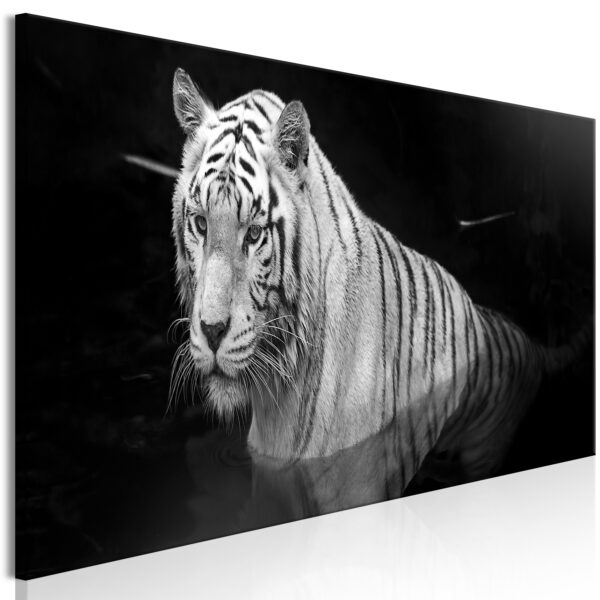 Obraz - Shining Tiger (1 Part) Black and White Narrow