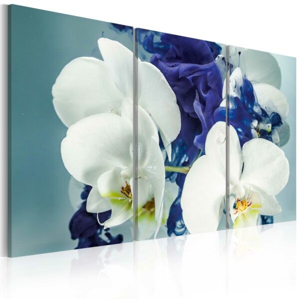 Obraz - Chimerical orchids