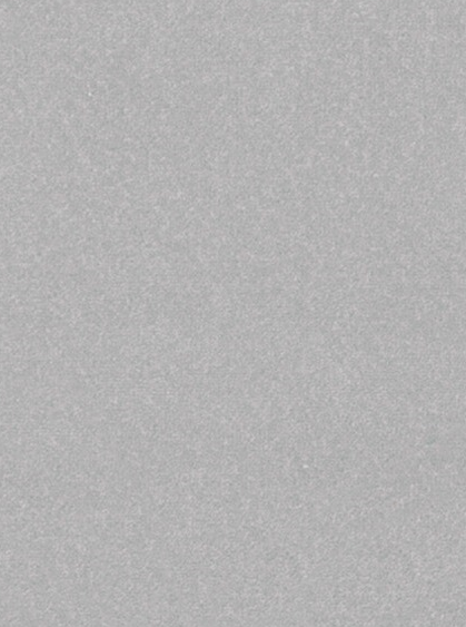 Kusový koberec Nasty 101595 Silber-160x240