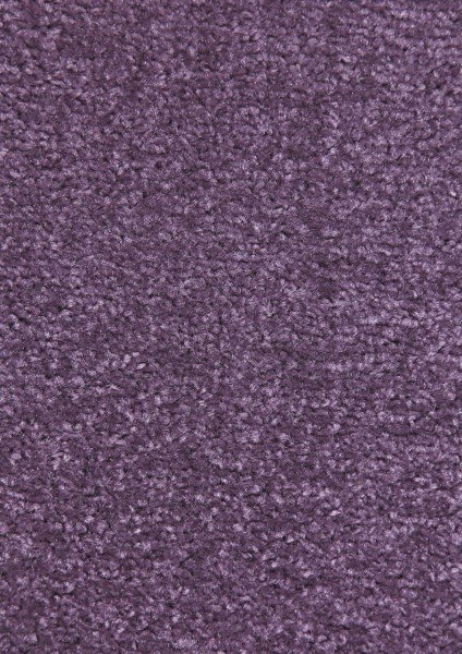 Kusový koberec Nasty 101150 Lila-80x300