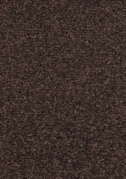 Kusový koberec Nasty 101154 Braun-140x200